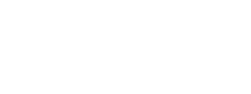 MANOPA Consulenza Direzionale per le Pubbliche Amministrazioni